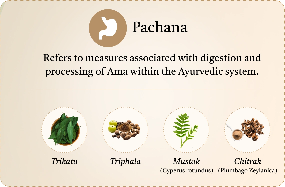 shaman pachana