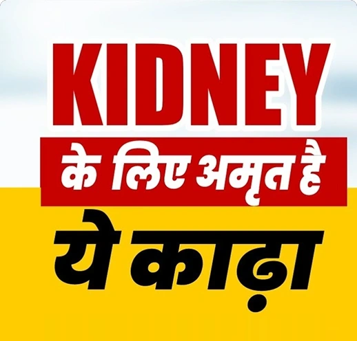 kidney kadha