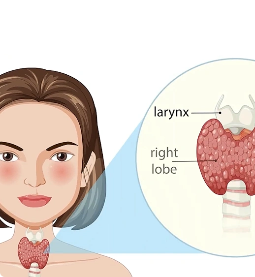 what-is-thyroid main