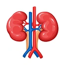 Cancer Awareness: Know the Signs, Know the Solutions