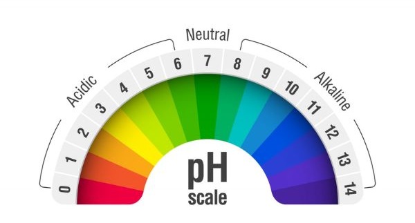 ph scale