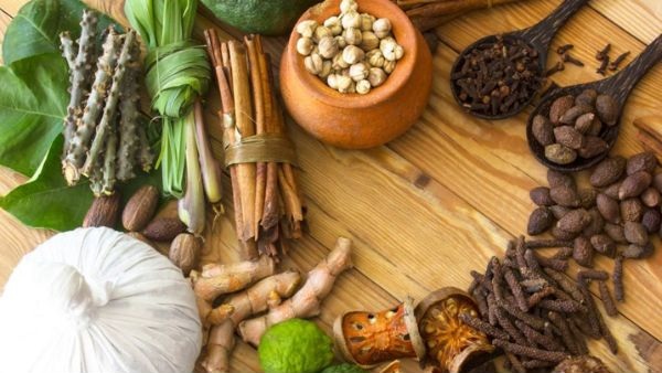 Herbal-Support