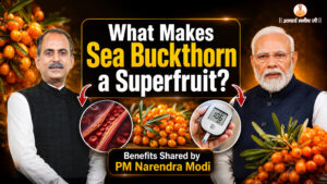 sea buckthorn benefits