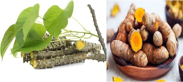 Herbal-Support