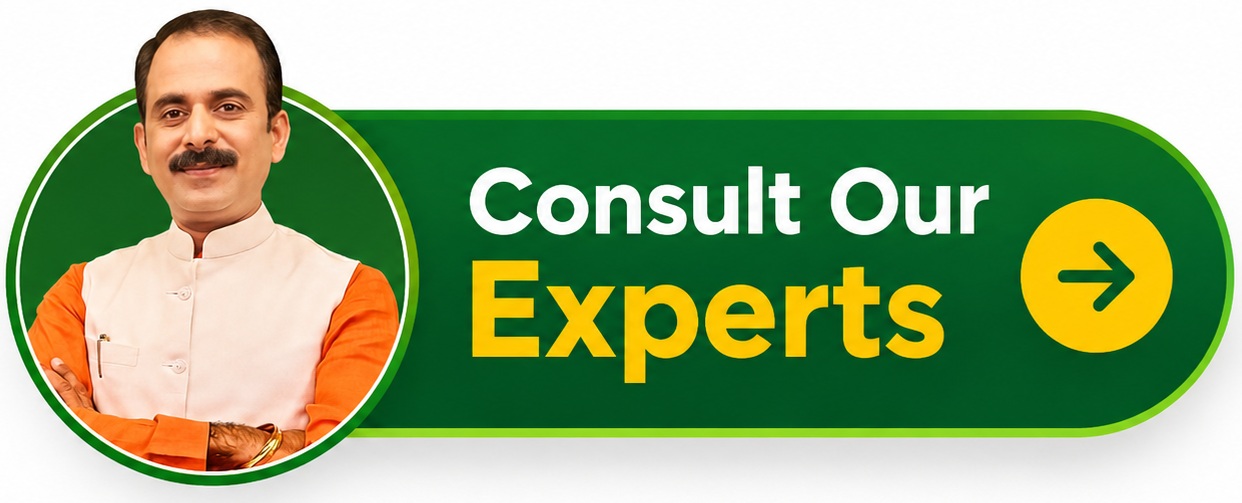 Consult-Our-Experts
